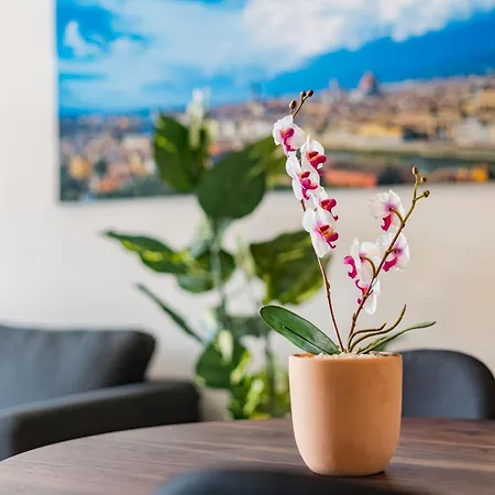 Roma Norte Apartments By Vh Mexico City Room photo