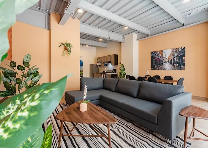 Roma Norte Apartments By Vh